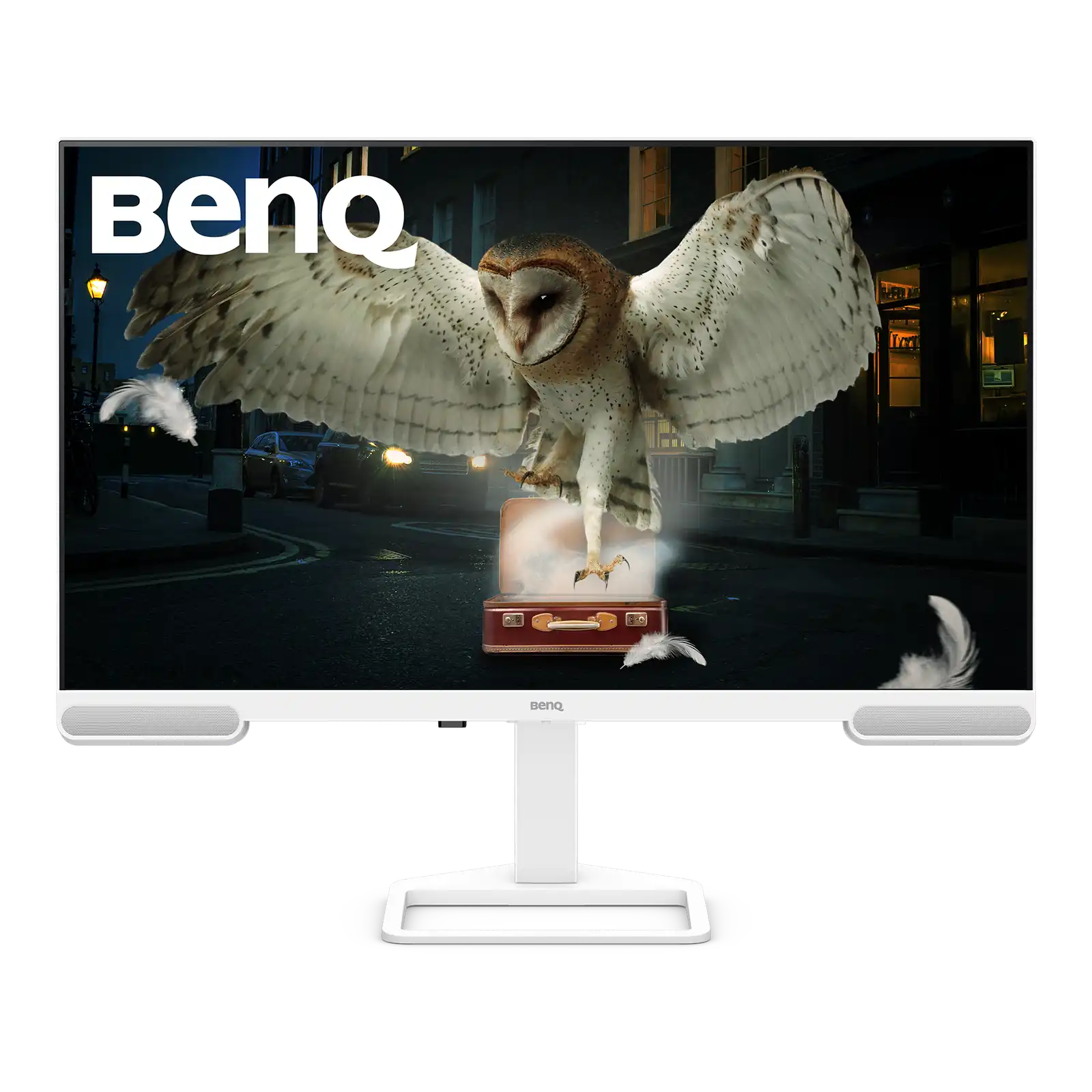 BenQ EW3290U 32” 4K 3840x2160 with 98% P3 Color