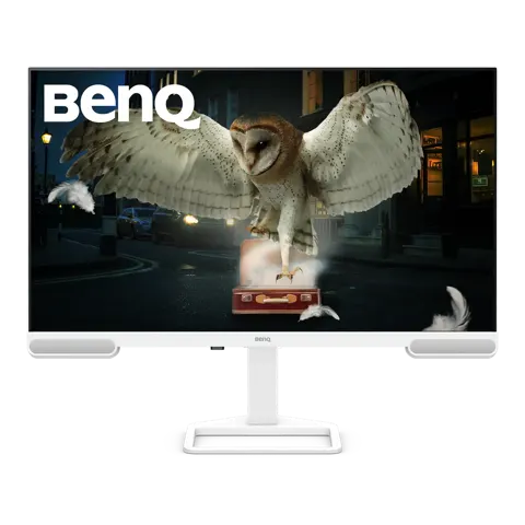 BenQ EW3290U 32” 4K 3840x2160 with 98% P3 Color
