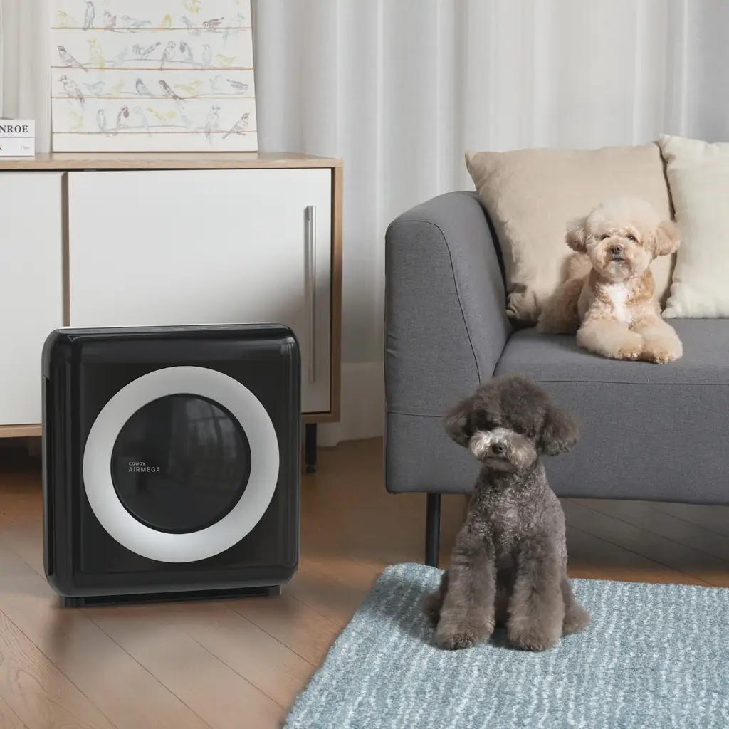 Coway Airmega Mighty AP-1512HH