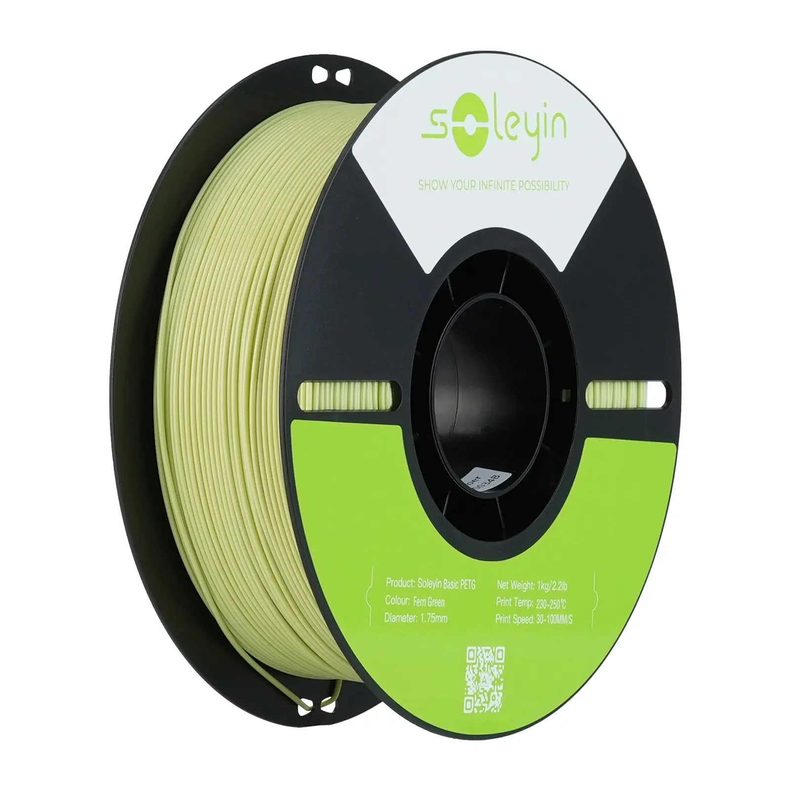Creality Soleyin Basic PETG 3D Printing Filament 1kg - Fern Green
