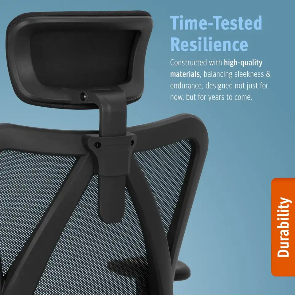 Duramont Ergonomic Office Chair with Lumbar Support