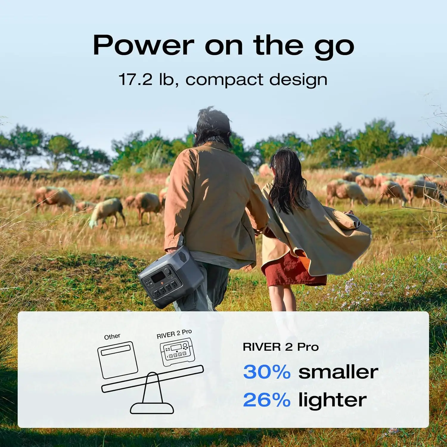 EcoFlow RIVER 2 Pro Portable Power Station