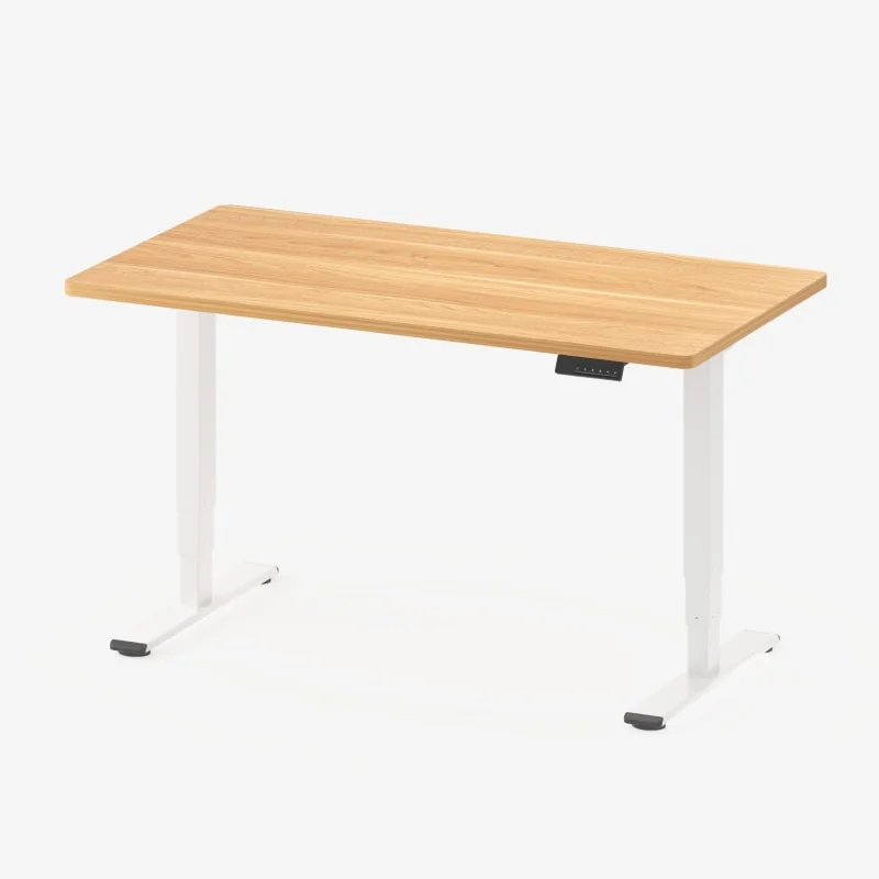 FLEXISPOT Standing Desk with Drawer 48 x 24 Inch Electric