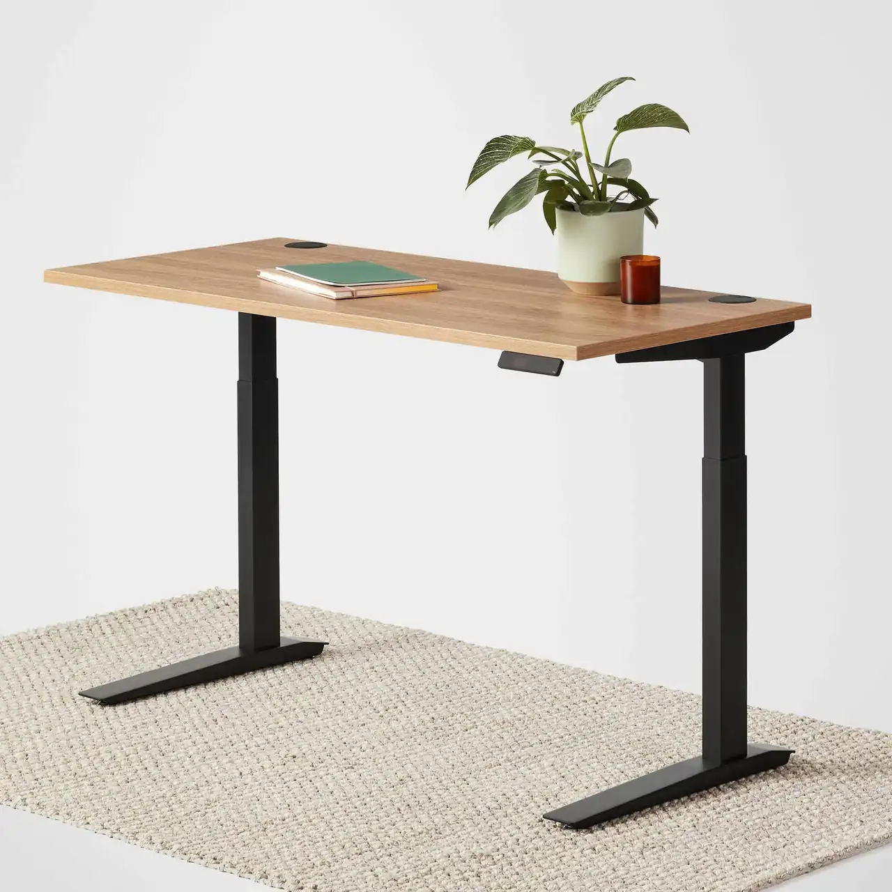 Fully Jarvis Standing Desk 30" x 24" Natural Oak