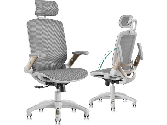 GABRYLLY High-Back Mesh Ergonomic Chair with Headrest