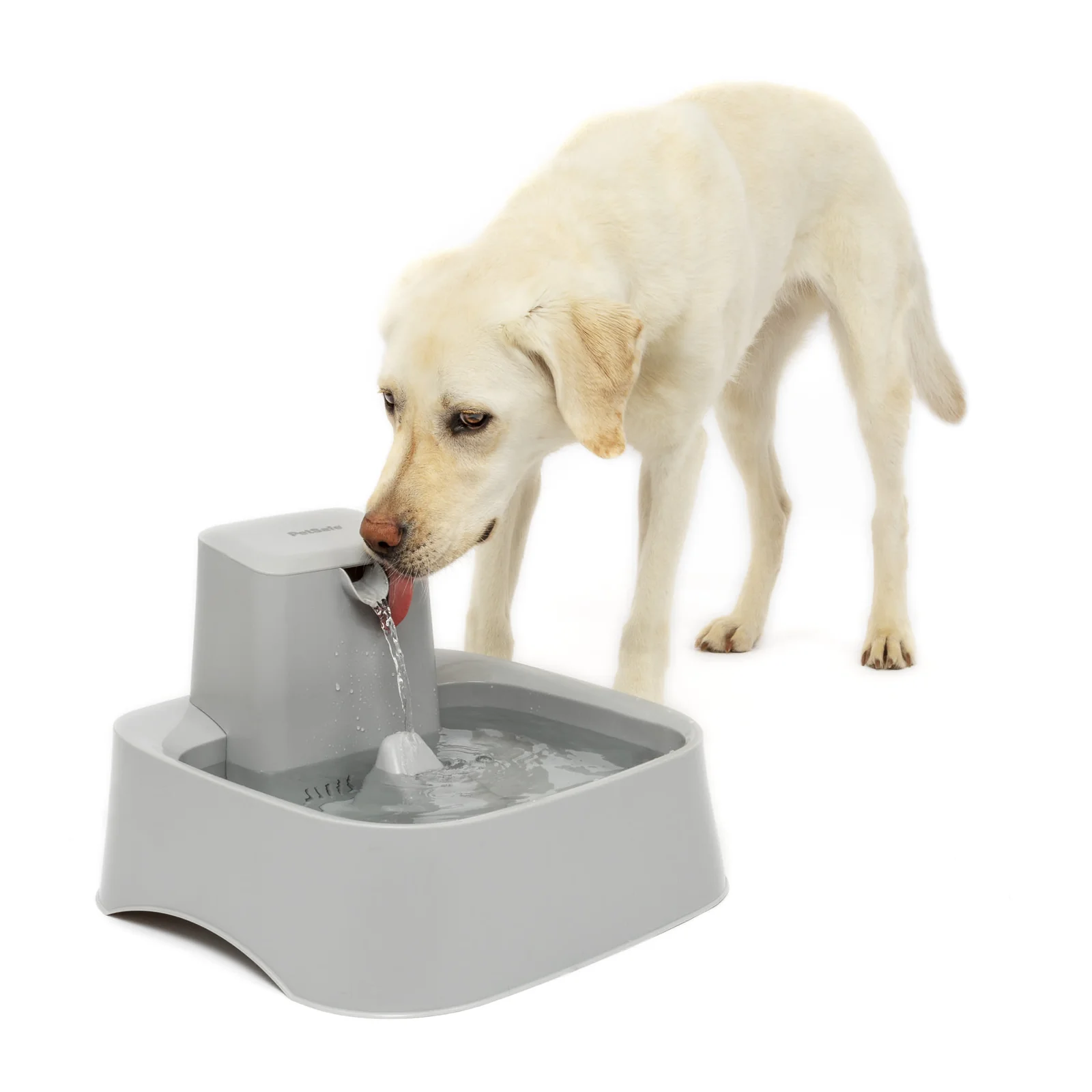 PetSafe Oasys 2 Gallon Pet Fountain (formerly Drinkwell), 256 oz