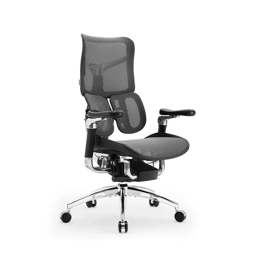 SIHOO Doro S300 Ergonomic Mesh Office Chair with Dual Dynamic Lumbar Support