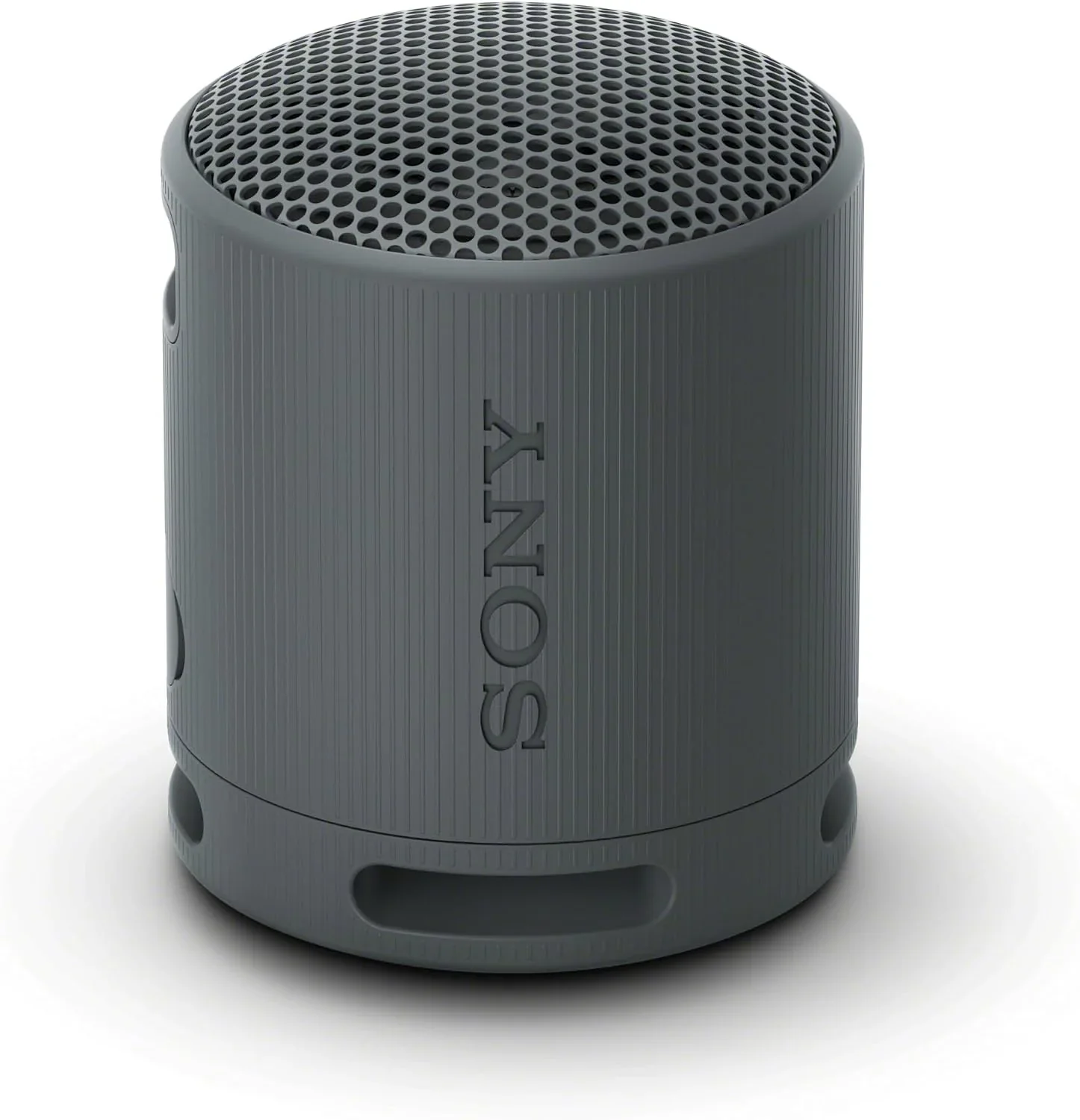 Sony SRS-XB100 Wireless Portable Speaker