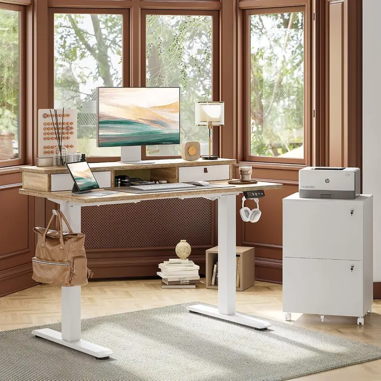 TIQLAB 48 * 24 inch Standing Desk with Two Drawers&Top Shelf